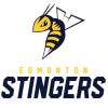 埃德蒙顿蜂刺